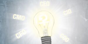 Fractional executive consulting