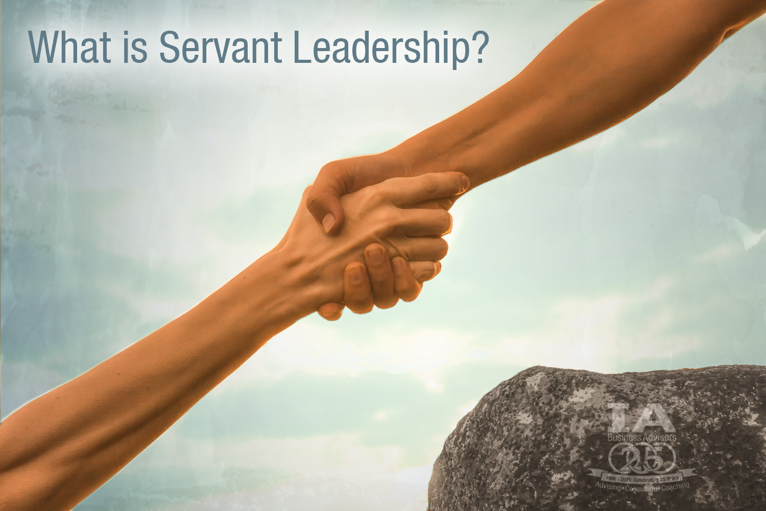 Servant leadership in business consulting