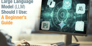 Business consulting LLM guide