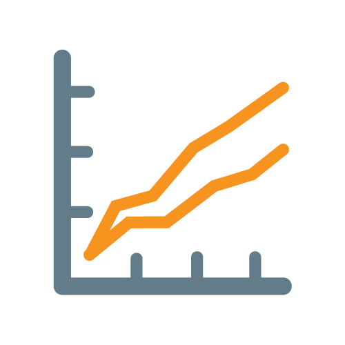 BIZVISION-GAP-REPORT