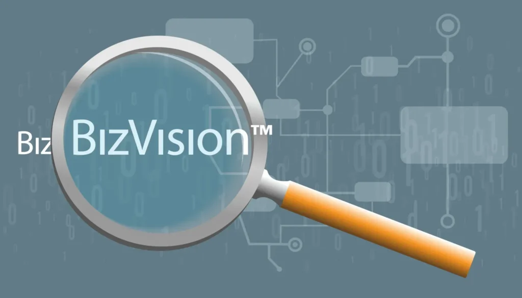 BizVision