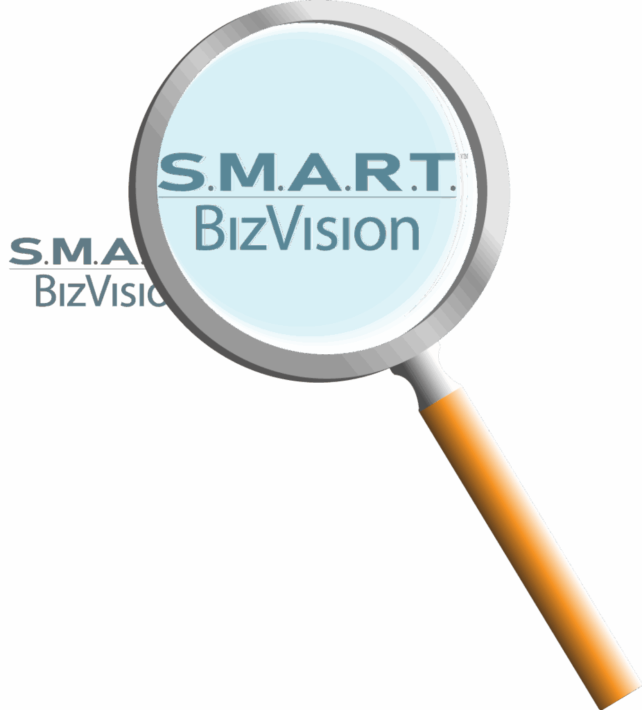 Magnified S.M.A.R.T. BizVision